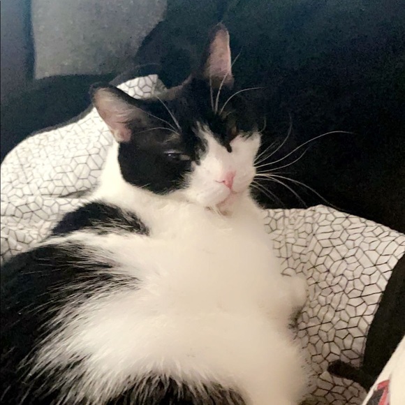 ⚠️Allergy Warning!⚠️ - Picture 2 of 2